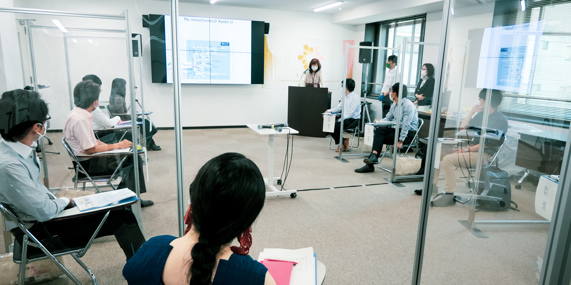 Professor Emerit Mentoring